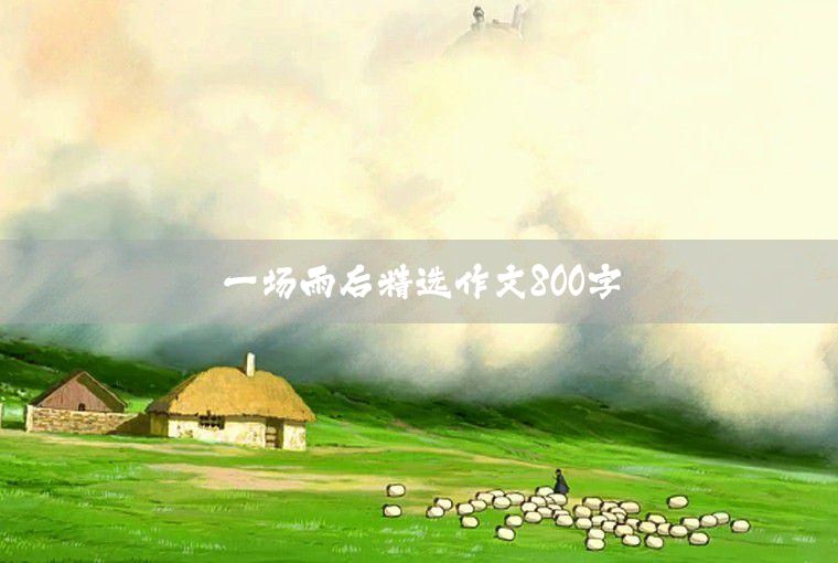 這里也有樂趣滿分作文800字